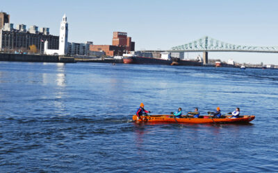 Ensemble Usiforme Mauricie